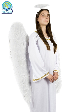 ALI ANGELO GRANDE CON PIUME BIANCHE